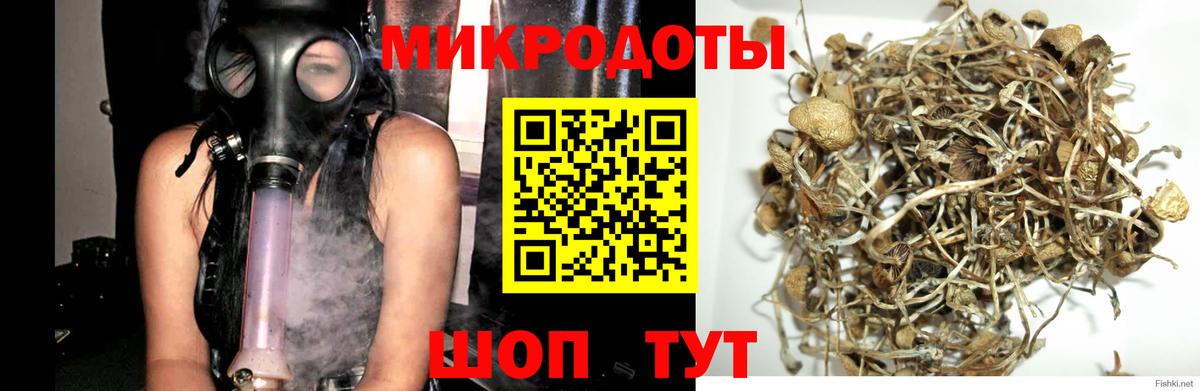 Богородицк  Галлюциногенные грибы ЛСД  даркнет сайт  Вход с VPN 