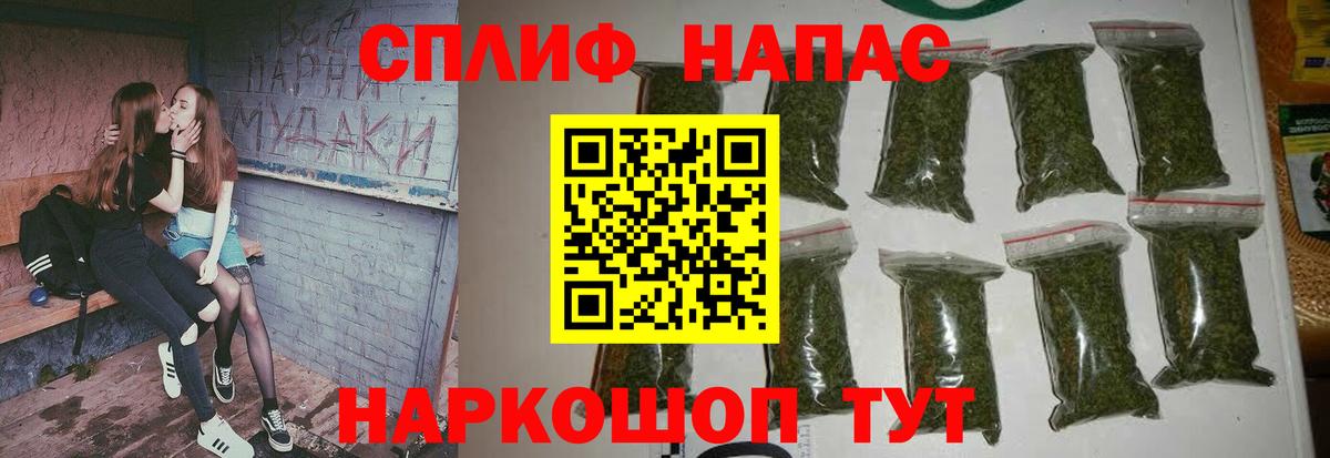 Конопля конопля  Шишки марихуана ГИДРОПОН  Бошки Шишки AK-47  Марихуана сатива  Вход с VPN  Богородицк 